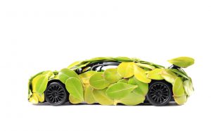 Leaves green car of the concept of isolated on white background